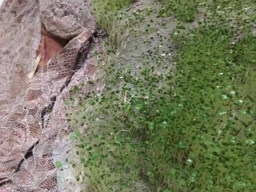 Workshop-students-Artez